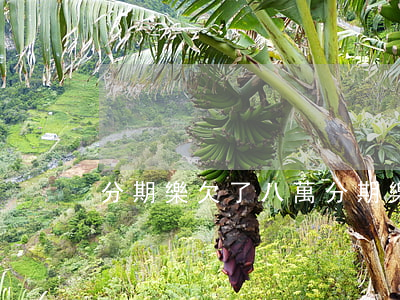 分期樂欠了八萬(分期樂欠了八萬)