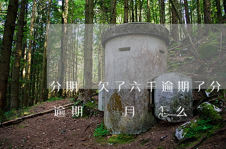 分期樂欠了六千逾期了(分期樂欠6000多逾期兩個月會怎么樣)