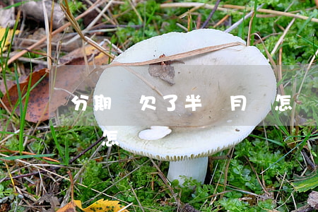 分期樂欠了半個月會怎樣(分期樂欠了半個月會怎樣)