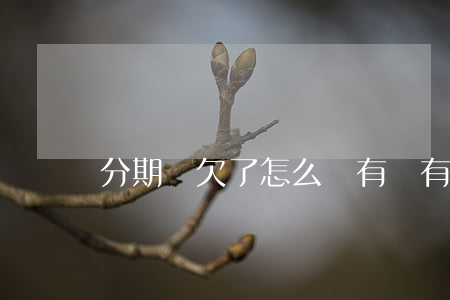 分期樂欠了怎么辦(有沒有欠分期樂的)