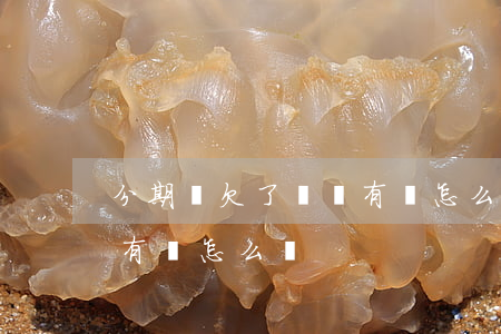 分期樂欠了錢沒有換怎么辦(分期樂欠了錢沒有換怎么辦)