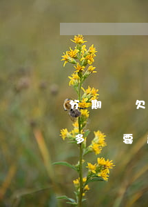 分期樂欠兩三千會被起訴嗎(分期樂欠了一萬多說要起訴我是真的嗎)