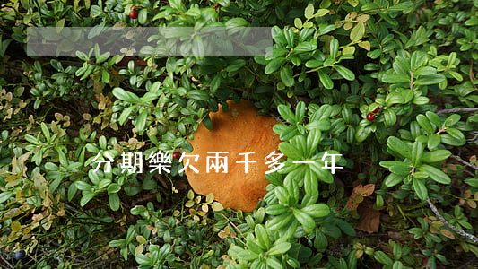 分期樂欠兩千多一年