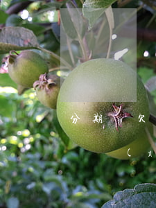 分期樂欠兩萬怎么還(分期樂借了兩萬分三年還現(xiàn)在要還四萬多怎么辦)