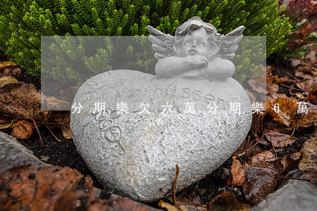 分期樂欠六萬(分期樂6萬沒還)