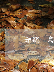 分期樂欠十幾萬