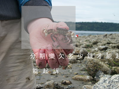 分期樂欠多少錢才能起訴(分期樂欠多少錢才能起訴)