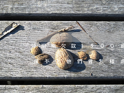 分期樂欠款1900逾期了(分期樂欠700還不上,他們會怎樣處理)