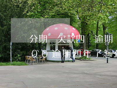 分期樂欠款四萬逾期兩年(分期樂借了30000,逾期四年了,怎么辦)