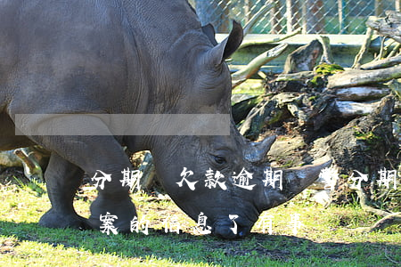 分期樂欠款逾期報警(分期樂逾期嚴重收到報案的信息了有事嗎)