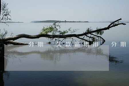 分期樂欠款逾期用戶(分期樂逾過期)