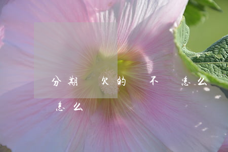 分期樂欠的錢不還怎么辦(分期樂還不上錢了怎么辦)