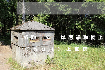 分期樂欠賬以后逾期能上征信嗎(分期樂逾會(huì)上征信嗎)