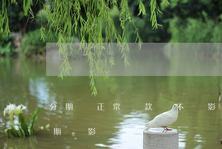 分期樂正常還款會不會影響車貸（分期樂未逾期會影響車貸嗎）