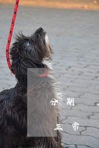 分期樂正常還款會打電話給父母嗎-分期樂正常還款會給聯(lián)系人打電話嗎
