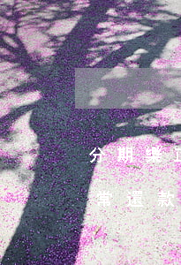 分期樂正常還款為啥征信會影響-分期樂正常還款上征信