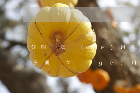分期樂每個(gè)月的還款可以分期嗎-分期樂每個(gè)月都可以還最低200嗎