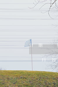 分期樂每個月正常還款會有事嗎-分期樂每個月按時還款有事嗎