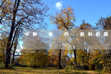 分期樂每個月還款利息固定了是嗎