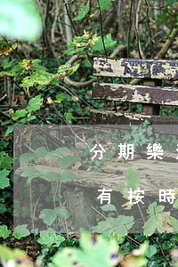分期樂沒有及時還款多久上征信-分期樂沒有按時還款會上征信嗎