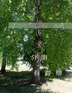 分期樂沒有逾期有額度但借不了-分期樂沒有逾期過但是有額度用不了