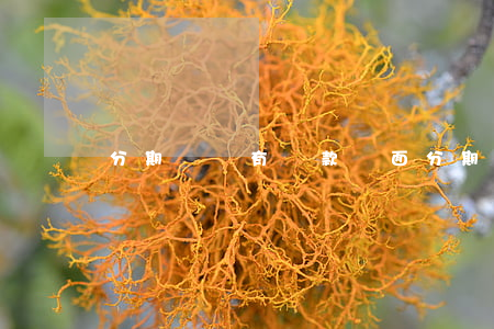 分期樂沒有還款頁面(分期樂借款沒有還怎么辦)