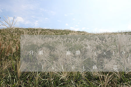 分期樂沒逾期協(xié)商還款(分期樂能協(xié)商還款嗎)