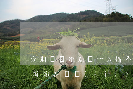 分期樂沒逾期為什么借不出來了-分期樂沒有逾期還進(jìn)去借不出來咋回事