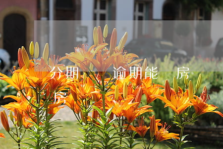 分期樂沒逾期能貸房貸嗎(分期樂沒逾期能貸房貸嗎)