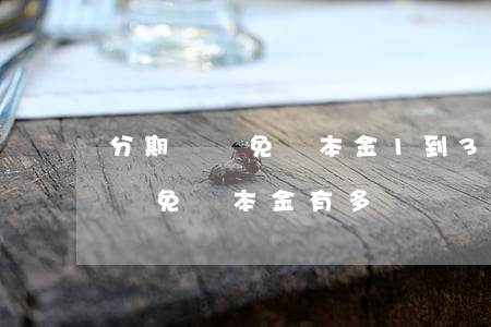 分期樂減免還本金1到3個工作日-分期樂減免還本金有多長時間