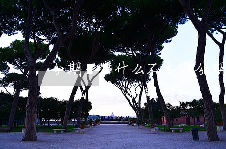分期樂為什么不支持分期還款了-分期樂為什么不能分期付款