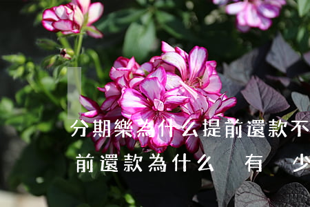 分期樂為什么提前還款不扣利息-分期樂提前還款為什么沒有減少利息