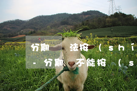 分期樂無法按時(shí)還款幾天怎么辦-分期樂不能按時(shí)還怎么辦