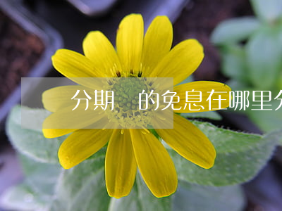 分期樂的免息在哪里(分期樂的免息在哪里)
