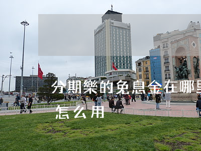 分期樂的免息金在哪里(分期樂里面的免息金怎么用)