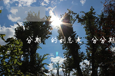 分期樂的利息是幾分(分期樂分期的利息)
