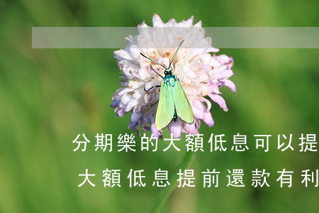 分期樂的大額低息可以提前還款嗎-分期樂大額低息提前還款有利息嗎
