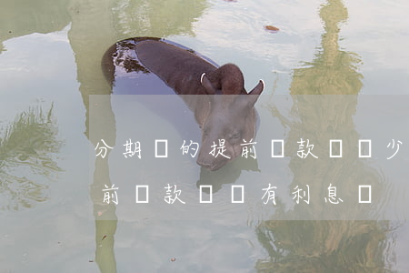 分期樂的提前還款會減少利息嗎-分期樂提前還款還會有利息嗎