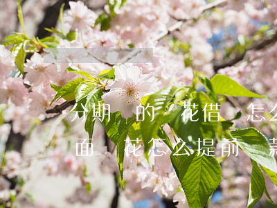分期樂的樂花借錢怎么提前還款-分期樂里面樂花怎么提前還款