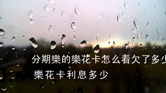分期樂的樂花卡怎么看欠了多少錢(分期樂的樂花卡利息多少)
