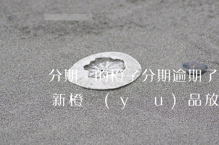 分期樂的橙子分期逾期了有影響嗎-分期樂新橙優(yōu)品放款中