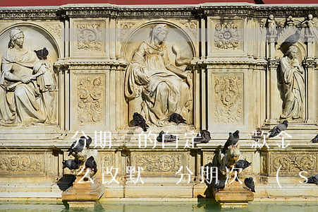分期樂的自定義還款金額是什么-分期樂怎么改默認分期次數(shù)