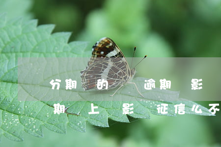 分期樂的賬單逾期會影響征信嗎-分期樂逾期會上報影響征信么,不是故意的