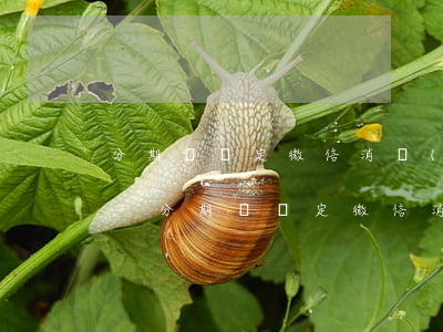 分期樂綁定微信消費(fèi)后怎么還款-分期樂綁定微信消費(fèi)上征信嗎