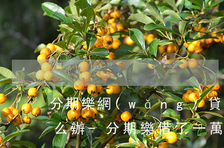 分期樂網(wǎng)貸1萬元無力償還怎么辦-分期樂借了一萬塊錢無力償還
