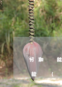 分期樂能不能協(xié)商還本金（分期樂能協(xié)商還本金嗎）
