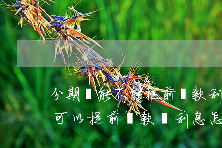 分期樂能不能提前還款利息怎么算-分期樂可以提前還款嗎利息怎么算