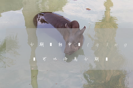 分期樂能申請(qǐng)停息掛賬嗎(分期樂可以停息分期嗎?)