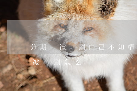 分期樂被盜刷自己不知情逾期怎辦-分期樂被盜刷怎么辦