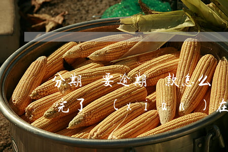 分期樂要逾期還款怎么辦(分期樂把逾期的還完了現(xiàn)在要求全部還清)